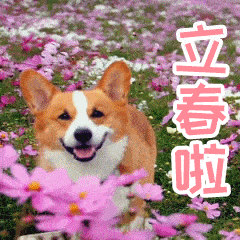  立春快乐的动态微信表情图