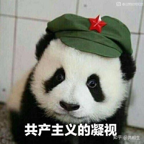  明明建国后不许成精,为啥大熊猫例外