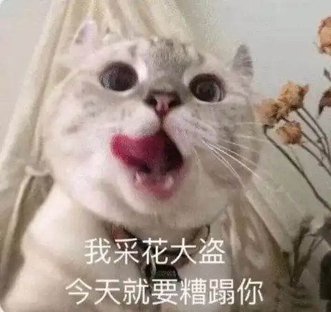 一坨翔表情包不许