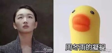  周冬雨一场漂亮的翻身仗要这么打