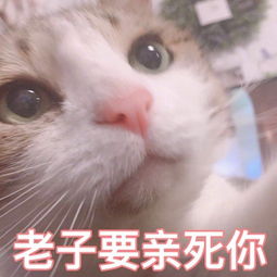  给女朋友发什么表情包合适
