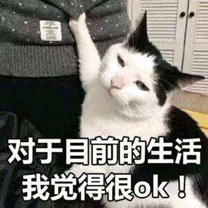 csq下雨啦恭喜3位申请人附经我们官方认证的小道消息  csq下雨啦恭喜3位申请人附经我们官方认证的小道消息