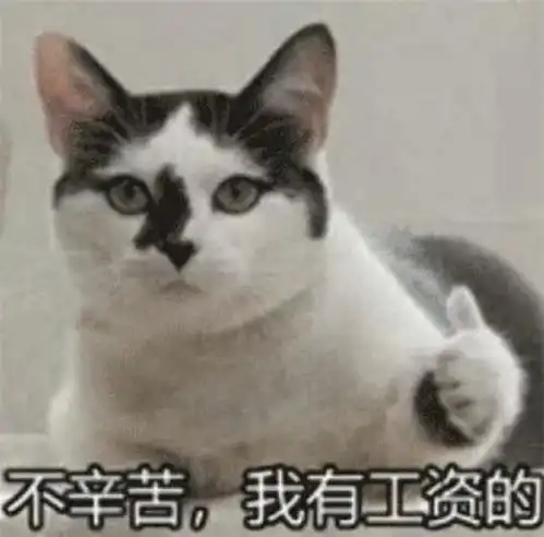  玫瑰沾白糖的相册天使猫猫的表情包