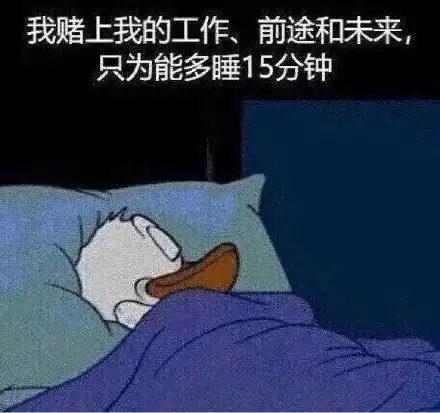  表情包沙雕日常我的爱情呢围观