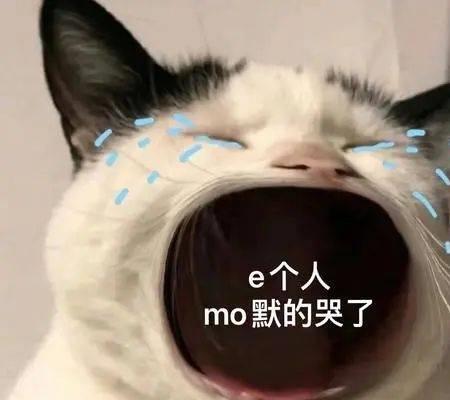  狗子打架惨输了,一直给主人摆脸色,低头委屈的样子太好笑