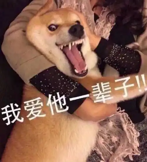  今年春晚最好笑的段子都在这里了配着重播看效果更好