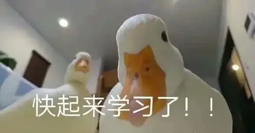  专科考上985拼搏过的人生都是不平凡的
