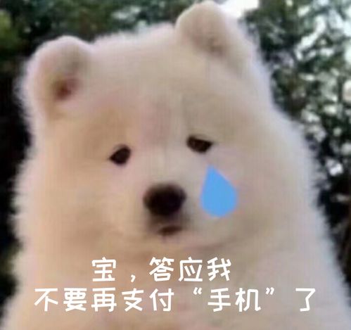  在公交车上,做这件事你一定会后悔