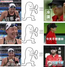 表情包分类张氏