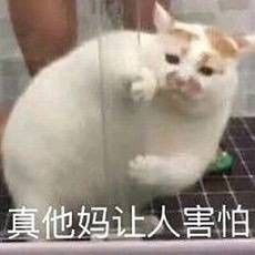  再问自杀这些你们一天发800次的表情包网红到底是谁vol.2