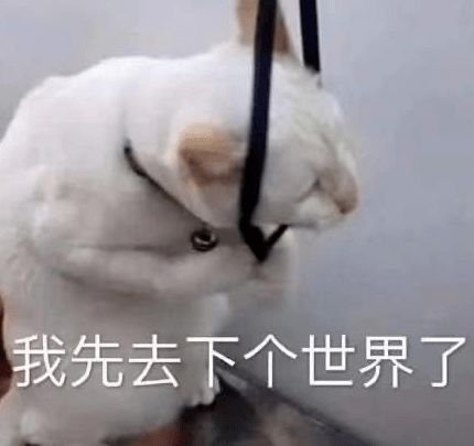  幼儿园同学暗恋我十几年,我竟然不知道哈哈哈笑到肚痛了