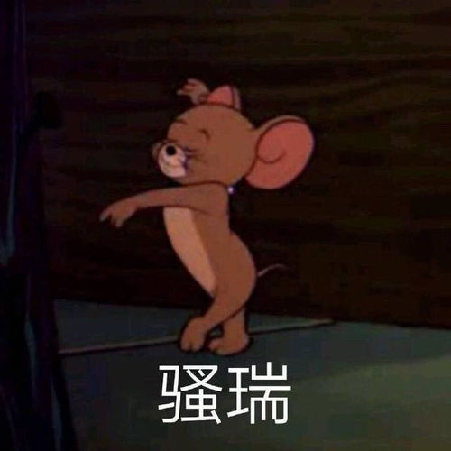  搞笑斗图表情包合集别说了,我不想听