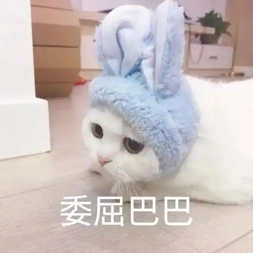  老公今年50岁,好像变了一个人厦门一女子担忧求助医生