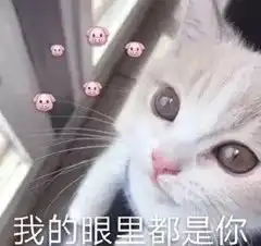  娜扎撞衫金喜善完胜奶茶同框刘诗诗惨败,时装周最有看点的是整成网红脸的她