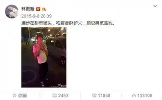  被网友发表情包群嘲林更新只回复了两个字