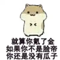  小猪萌萌哒头像微信头像图片大全