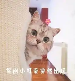 超爱你表情包微信