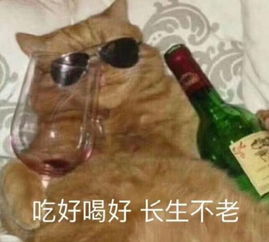 90后老了表情包词卡