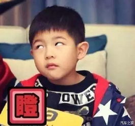  买车和娶媳妇一样难道娶媳妇还要问人