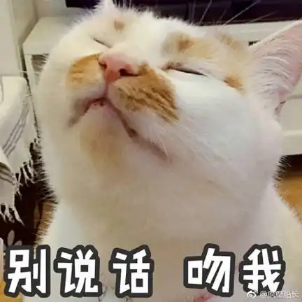  我想听你唱一大波剧透和放票通知正在靠近