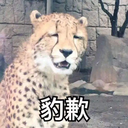  老大越来越作,老二可爱活泼,二胎老母亲怎么能公平