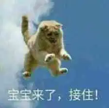 我来啦接住表情包对应我来啦接住表情包一套下载汉化版乐游网游戏下载
