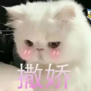  秋冬日旅游推荐这些地方,真正的花花世界,满眼美色