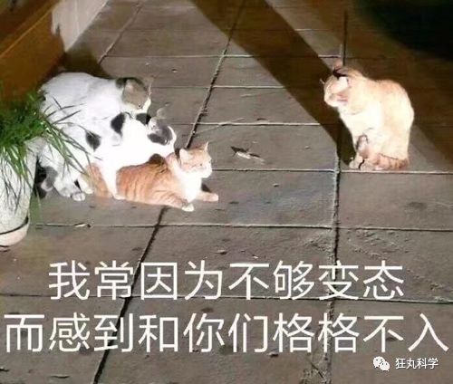  等边直角三角形的胸现在的不科学网文真是要笑死我