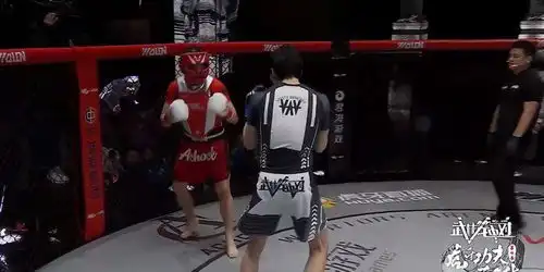 药水哥pk向佐引热议,赛后表情包火了倒地场景竟被p成情头  药水哥pk向佐引热议,赛后表情包火了倒地场景竟被p成情头