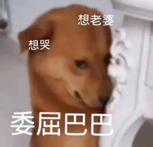 网红表情包委屈小狗遭针扎虐待主人回应就为涨粉折磨它  网红表情包委屈小狗遭针扎虐待主人回应就为涨粉折磨它