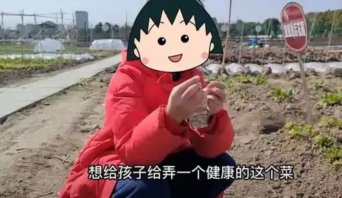  现实版开心农场魔都郊外掀起租地种菜热包地一年1千多,上海人抢破头