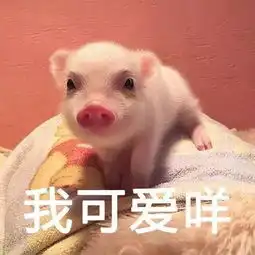  快说,谁才是你的小可爱