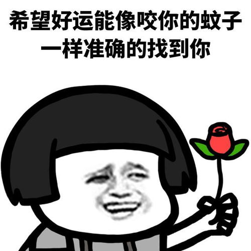  表情l又是被蚊子支配的睡眠时间