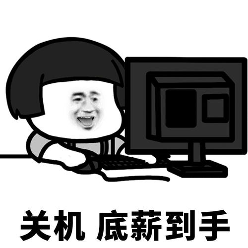  沙雕表情包l美女也要骂