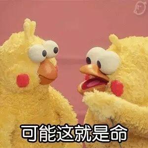  你见过哪些离谱的情侣分手事件