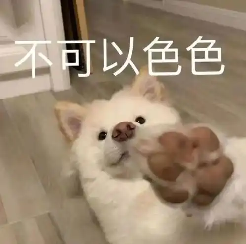  不可以色色表情包