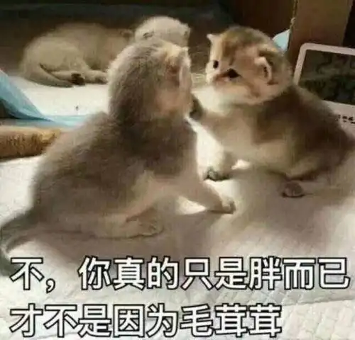  表情包