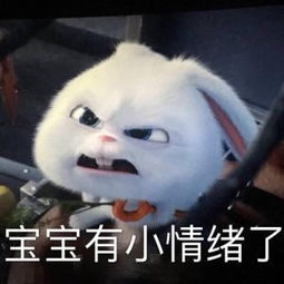  明星亲友大爆料陈羽凡对白百何家人超好,陈赫离婚是有原因的