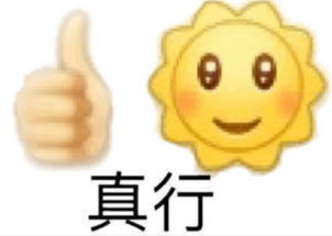  超皮的熊猫头表情我真的很想融入你们,但是我没有钱