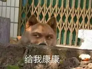  有沙雕表情包,吵架我从来没输过