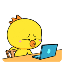 小黄鸡高登第3窝激萌上线