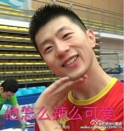  张继科和马龙你更喜欢谁