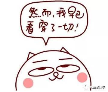  2017年的尾巴竟被一个佛系青年抓住了