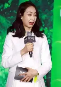  你让宋茜变成表情包,霍建华变春运工,王子文成了小矮人