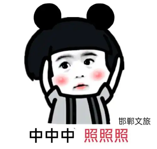 令人头大的表情包臭美