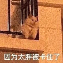  搞笑表情包图片沙雕吃我一拳