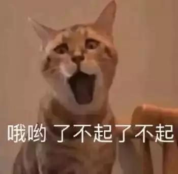  除了丑闻和段子,过气台偶男主还有别的出路吗