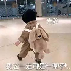公主连接可可罗表情包放马