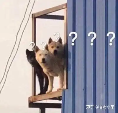 自考本科还是读专升本,学长学姐们给个建议 自考本科还是读专升本,学长学姐们给个建议