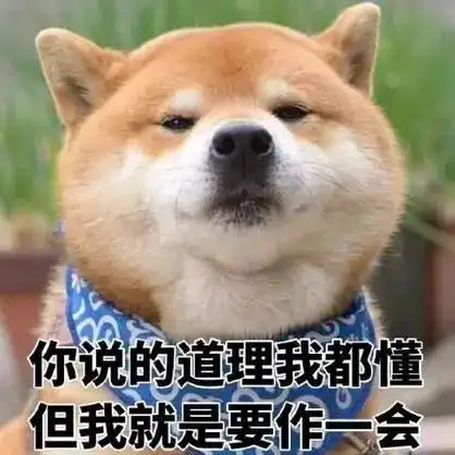  上海网友说和杜粉讲道理比对狗讲道理还难,有人让她当心